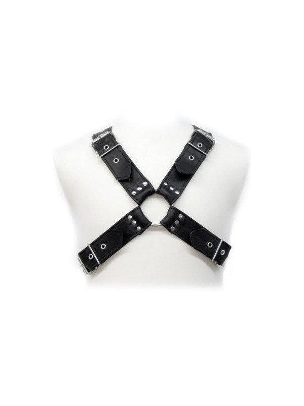 BUCKLES HARNESS DE LA MARCA LEATHER BODY