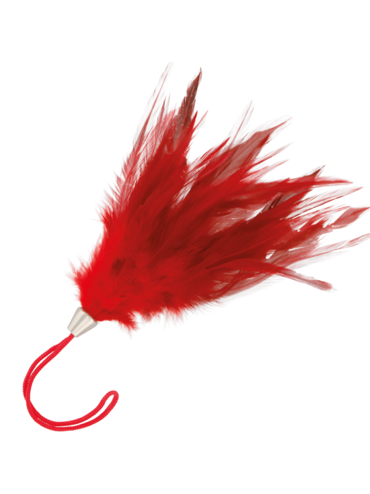 PLUMA ESTIMULADORA ROJO 17CM DE LA MARCA DARKNESS SENSATIONS