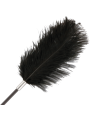 FUSTA CON PLUMA LOVE NEGRO 56 CM DE LA MARCA DARKNESS SENSATIONS