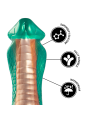 PYTHON DILDO COBRA VERDE DE LA MARCA EPIC